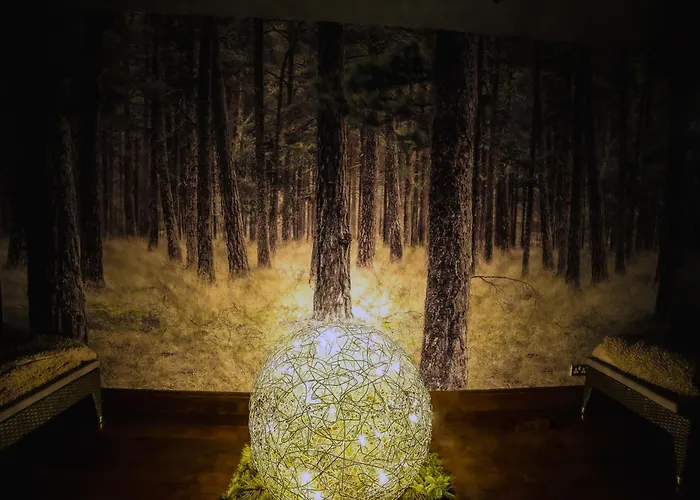 一号佩瑞广场温泉酒店 4*