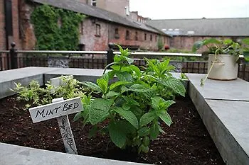 酒店 一号佩瑞广场温泉酒店 4*